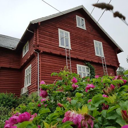Haugtun Gardspensjonat Og Leiligheter Nordre Land المظهر الخارجي الصورة