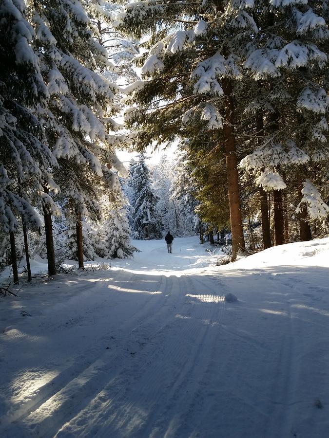 Haugtun Gardspensjonat Og Leiligheter Nordre Land المظهر الخارجي الصورة